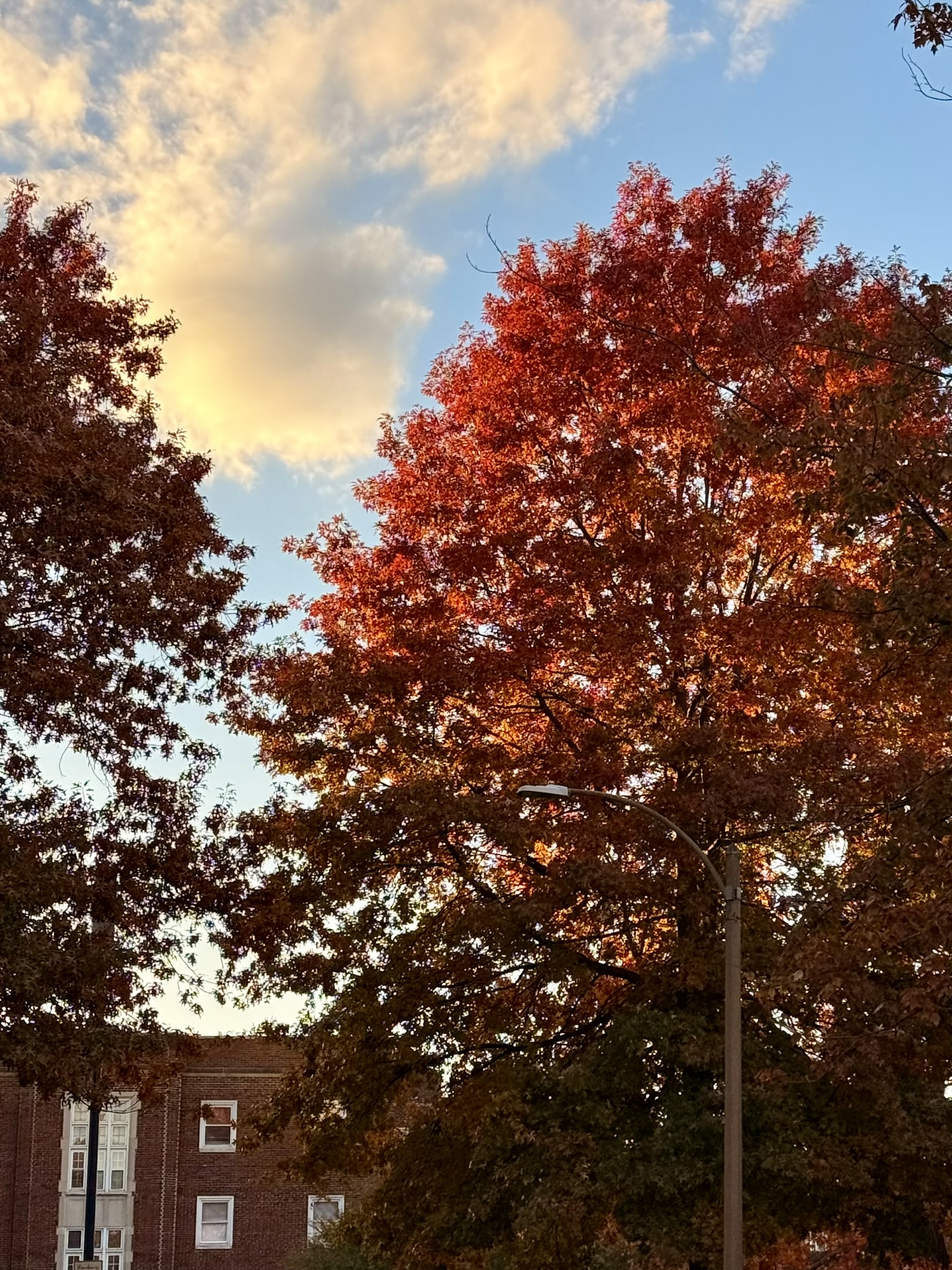 Fall